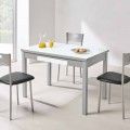 Mesa de Cozinha Extensível Vidro Alba Branco Ótico e Alumínio