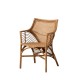 Sillón Ratán Marrón Patas Metal Boho Chic 56x84cm - fanmuebles