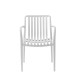 Sedia da Giardino Blanca Ivy - Design Minimalista e Luminosa