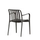 Silla de Jardín con Reposabrazos Gris Antracita