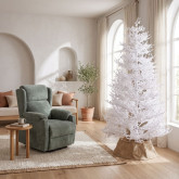 Alberi di Natale